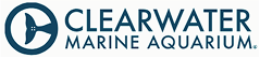 clearwater marine aquarium is a swyft interactive client